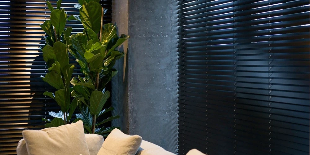 Best Blinds for Privacy and Style