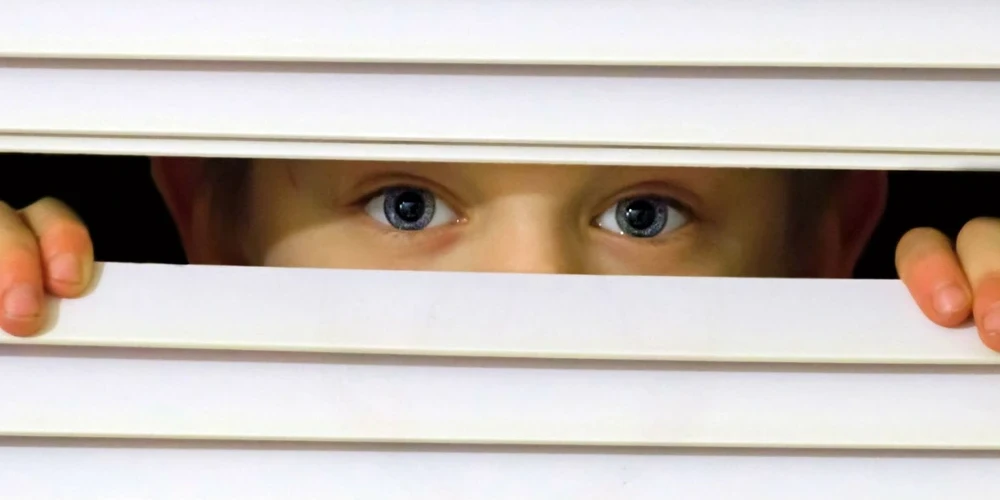 Child-Safe Blinds: Ensuring a Safe Home
